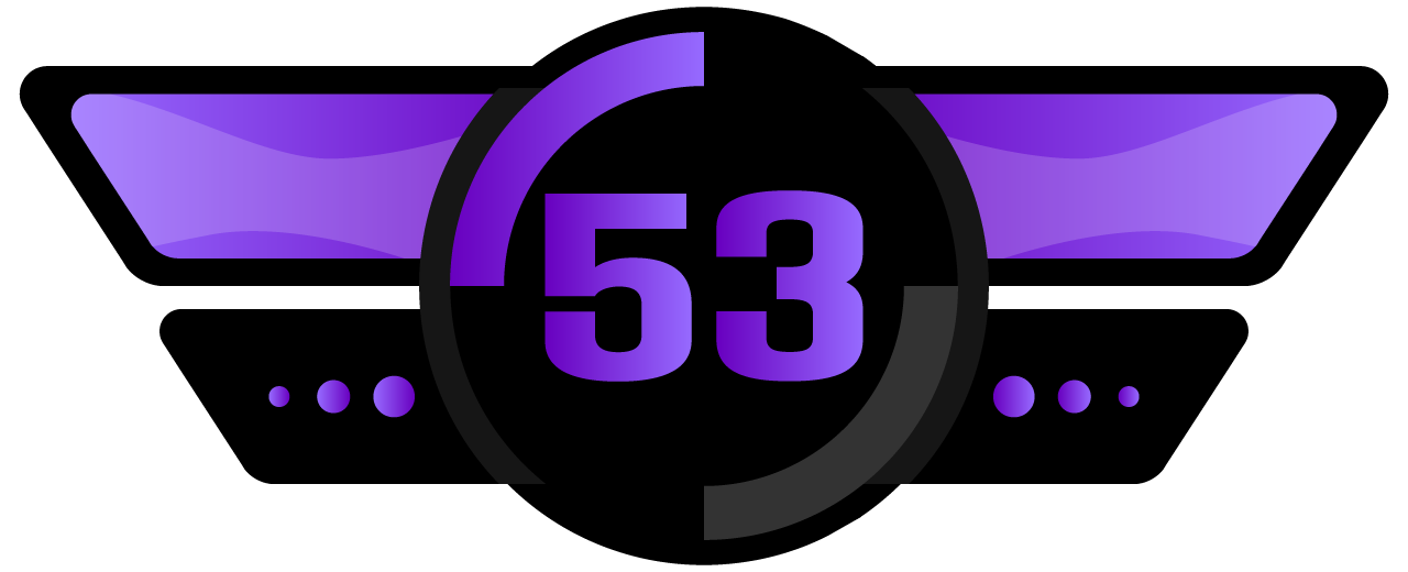 53